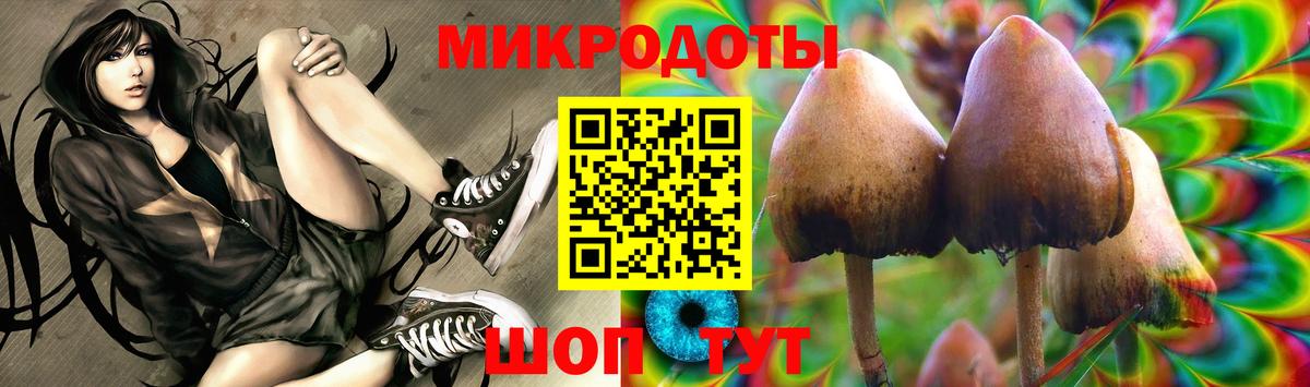 Псилоцибиновые грибы Cubensis Будённовск